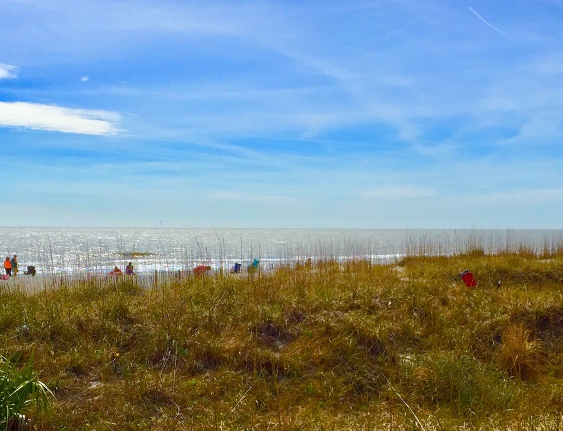 Grassy area on the seashore