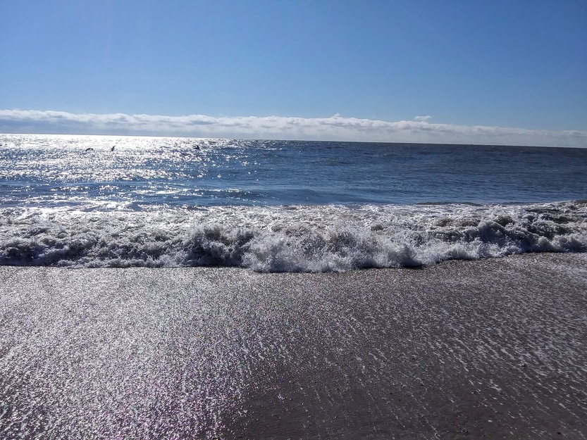 Sunny day on the beach