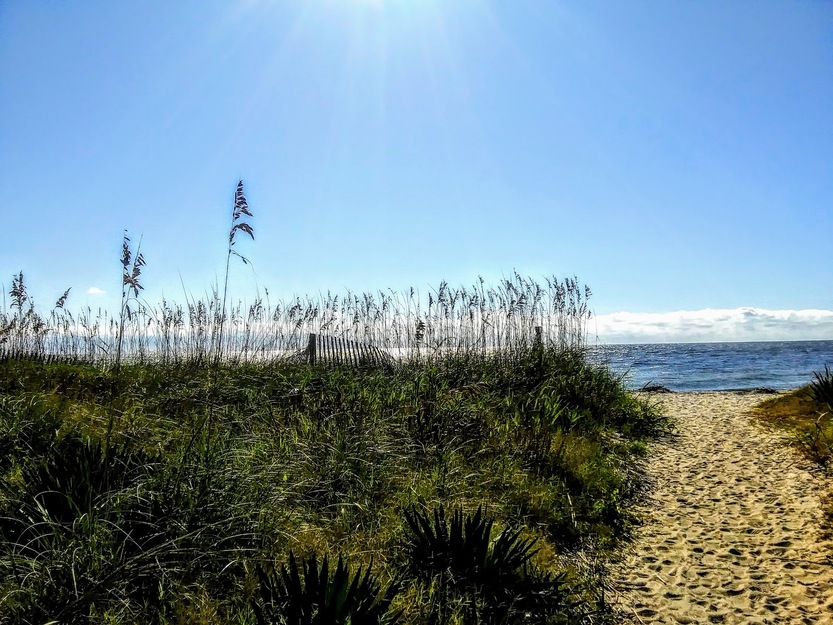 Sun shining over a grassy beach