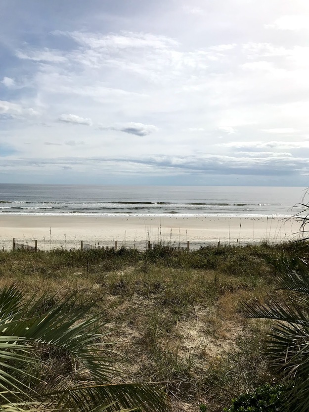 Grassy area near the beach