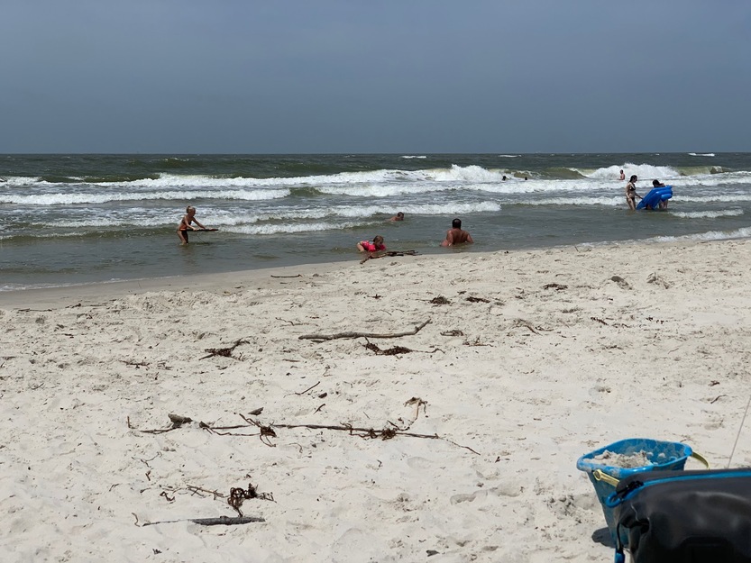 Dauphin Island Public Beach (west end)