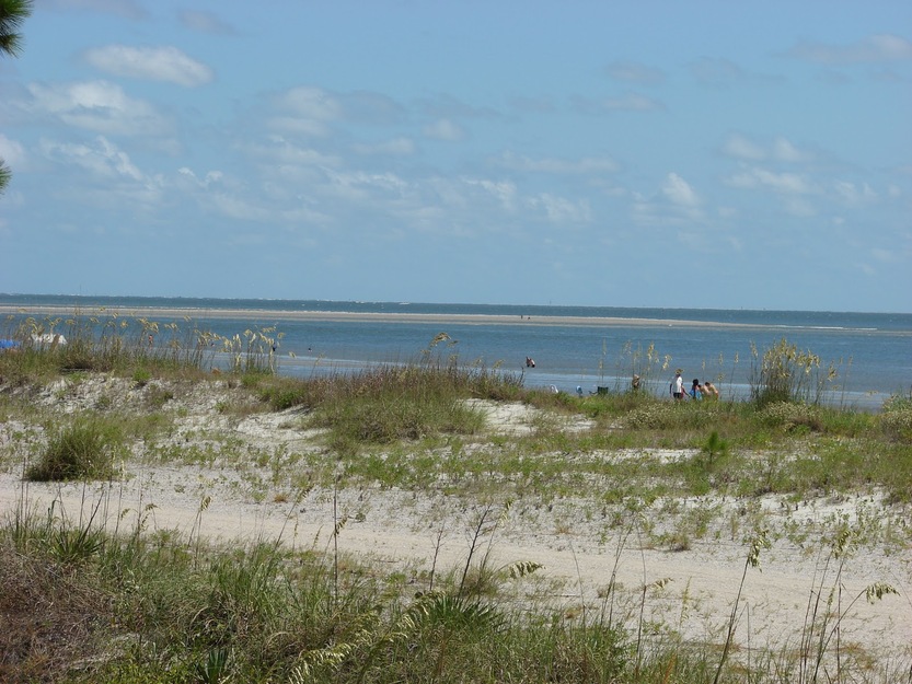 Grassy area near South Beach (Hilton Head Island)