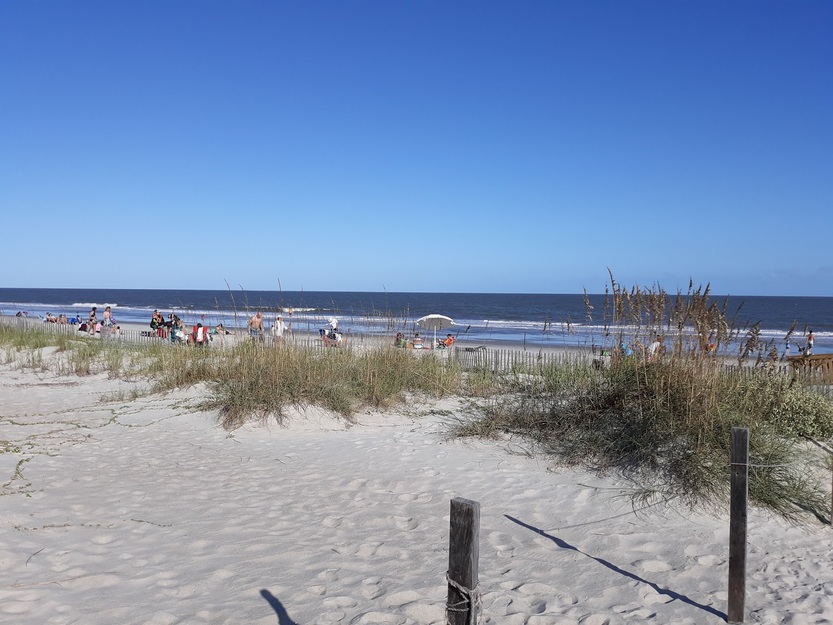 Folly Field Beach