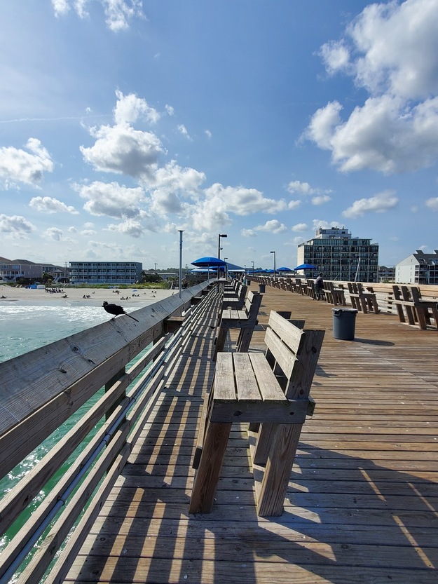 Benches near the sea