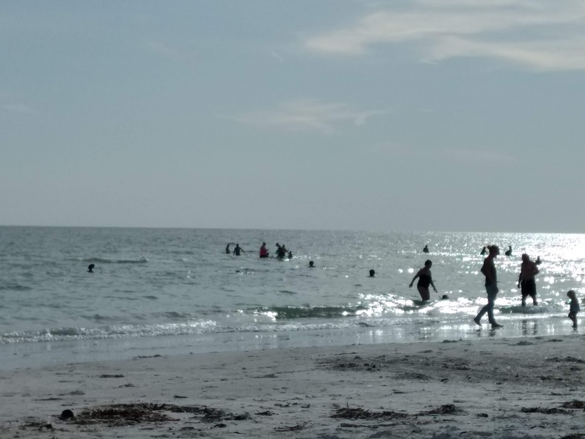 Madeira Public Beach