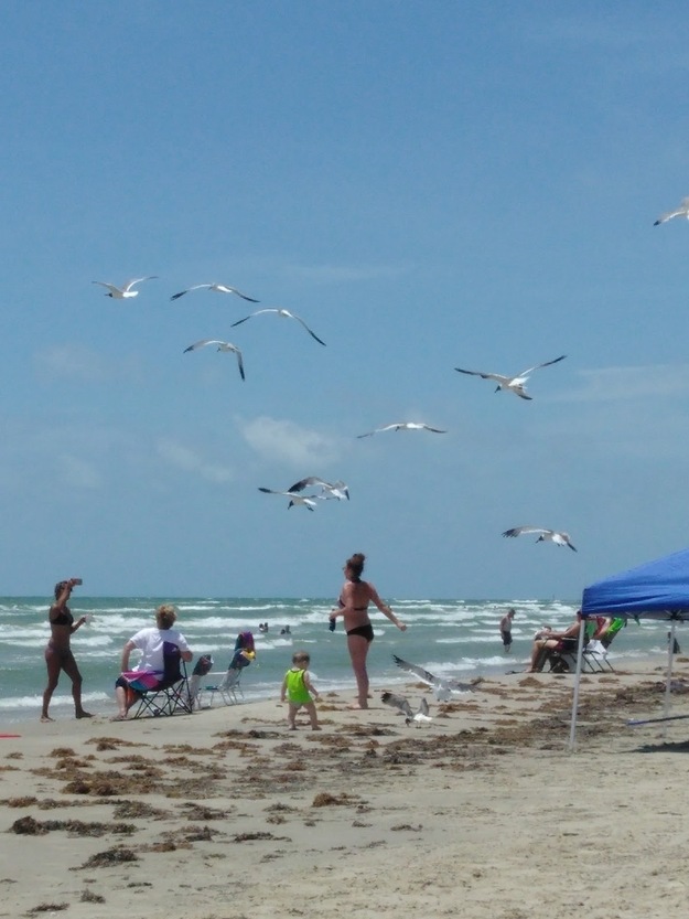 Mustang Island State Park Beach