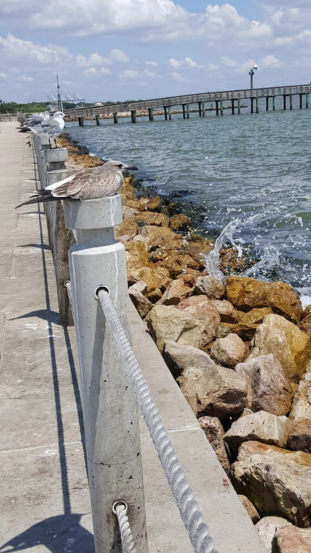 Jetty