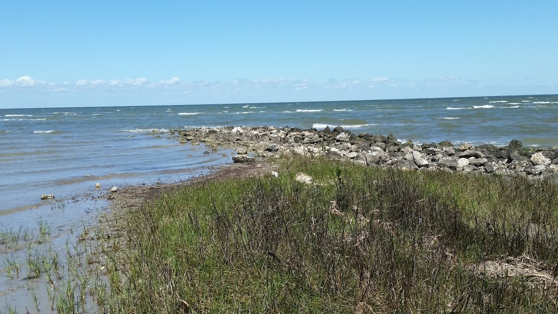 Grass and the sea