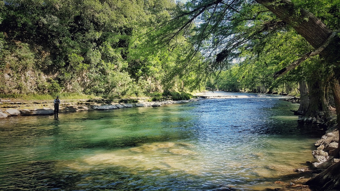 Trees and water