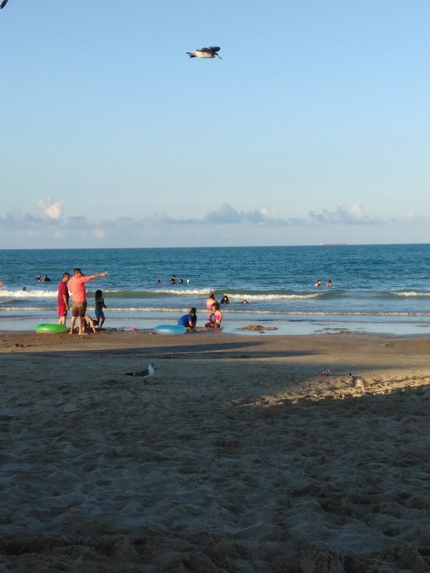 People on the beach