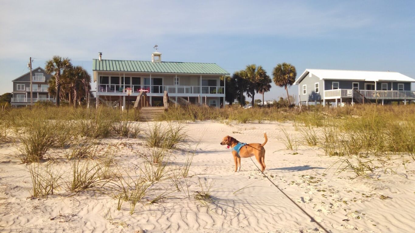 One Particular Harbor - St George Island - Beachfront photo