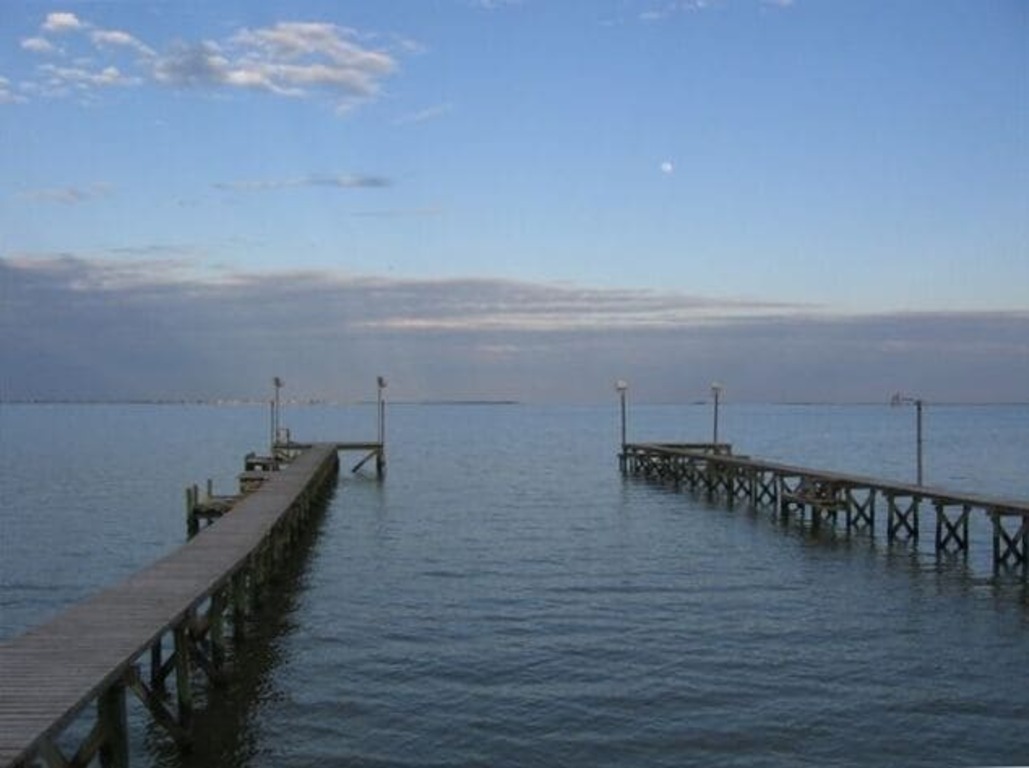 Dolphins, Fishing & Fun w/ New LIGHTED PIER!!! photo