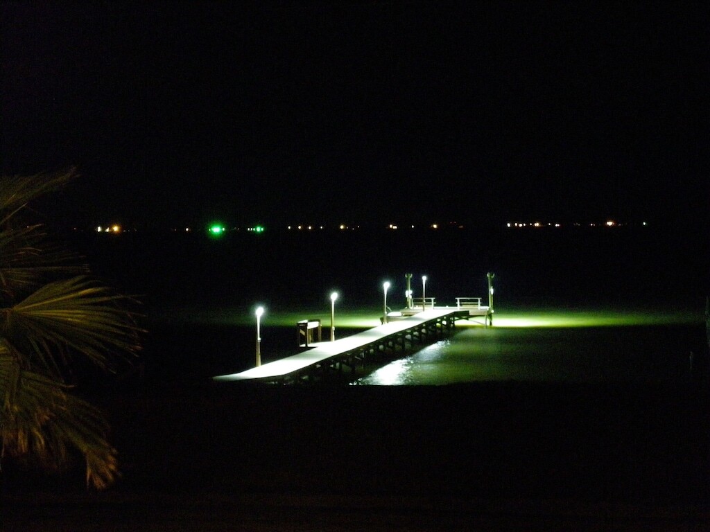 Dolphins, Fishing & Fun w/ New LIGHTED PIER!!! photo
