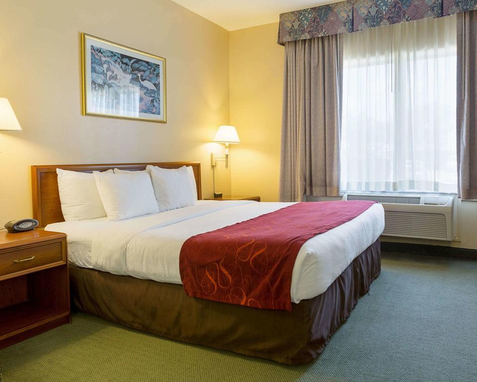 Comfort Suites La Porte photo