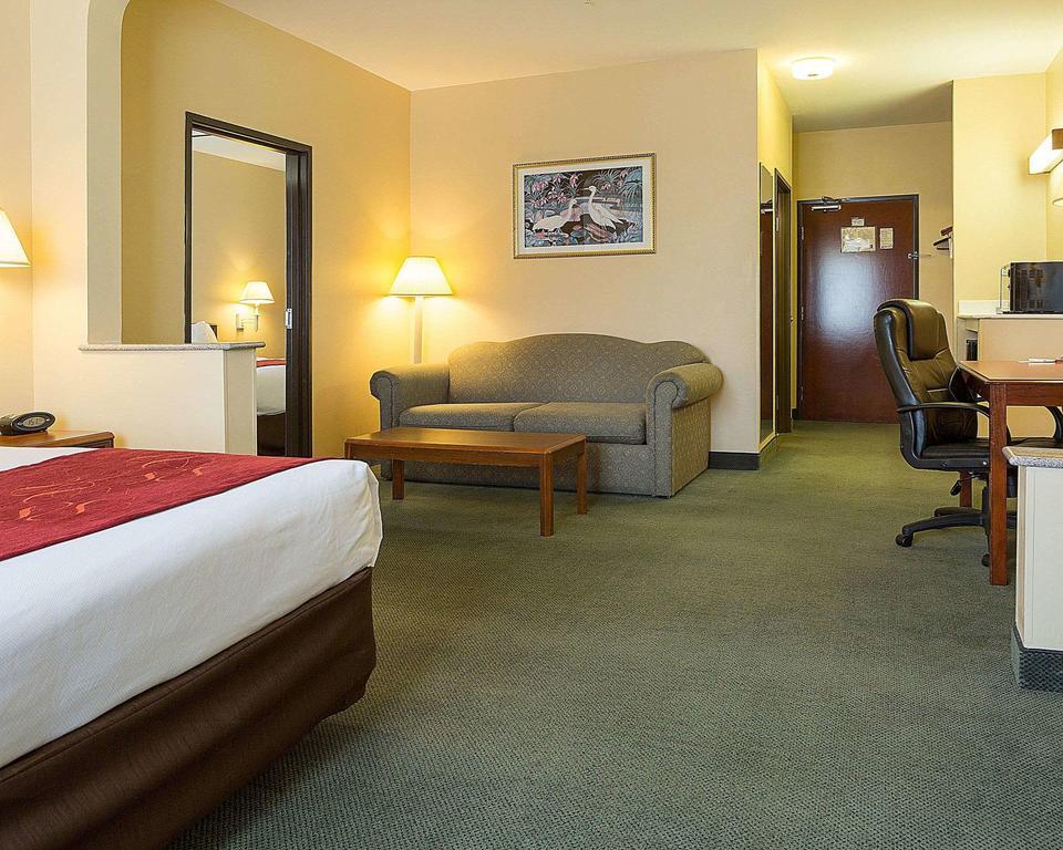 Comfort Suites La Porte photo