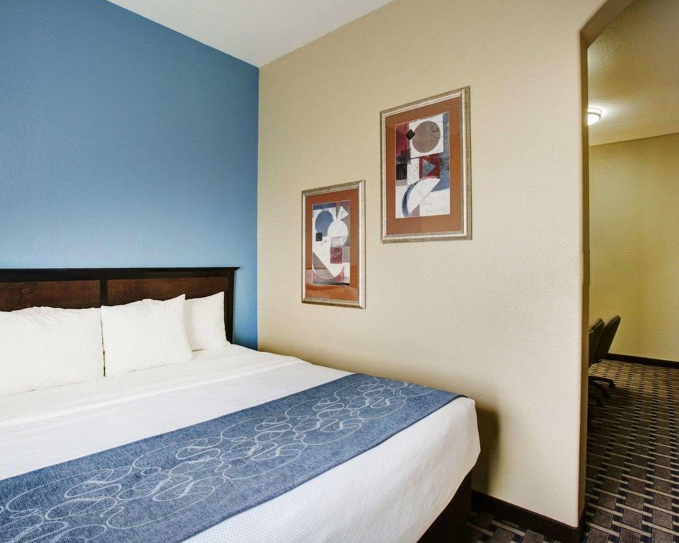 Comfort Suites Georgetown photo