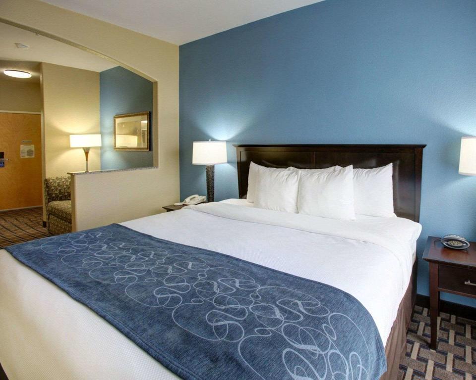 Comfort Suites Georgetown photo