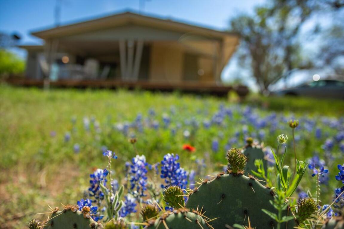 Burnet Beauty photo
