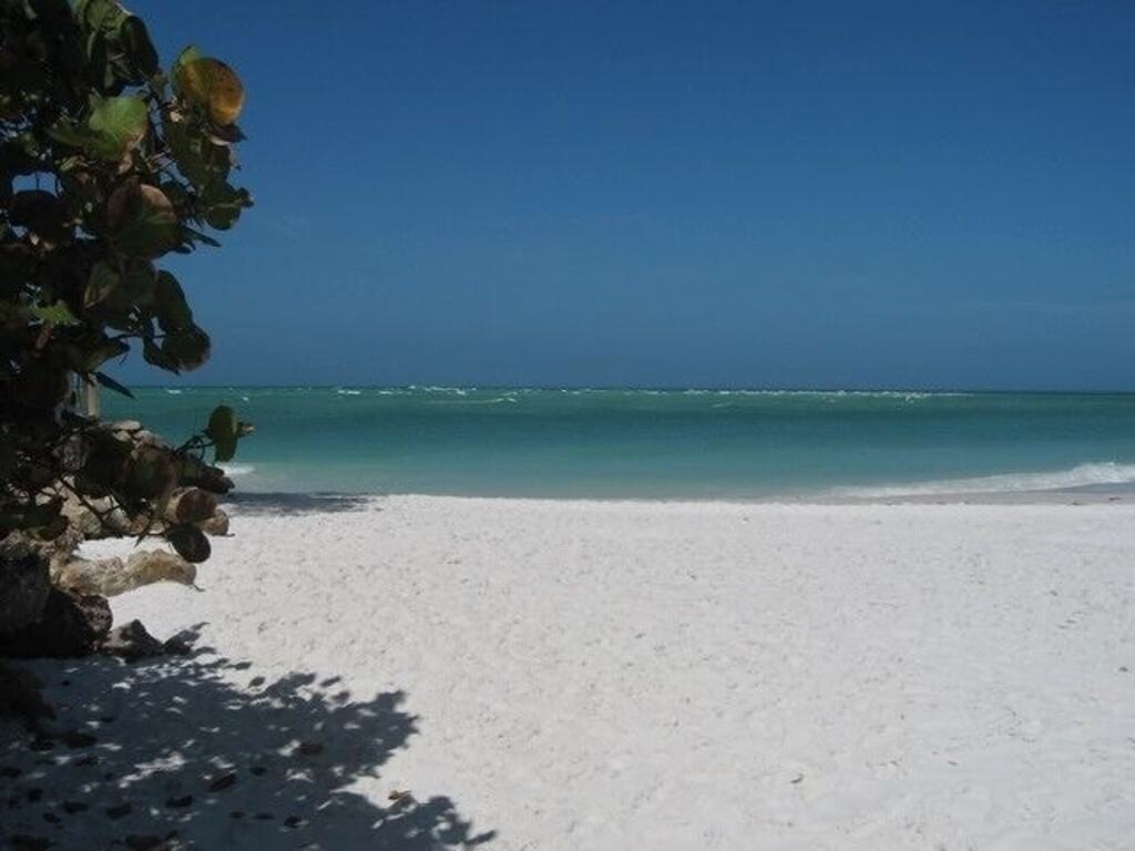 Best Location on Island - Read Our Guest Reviews! photo
