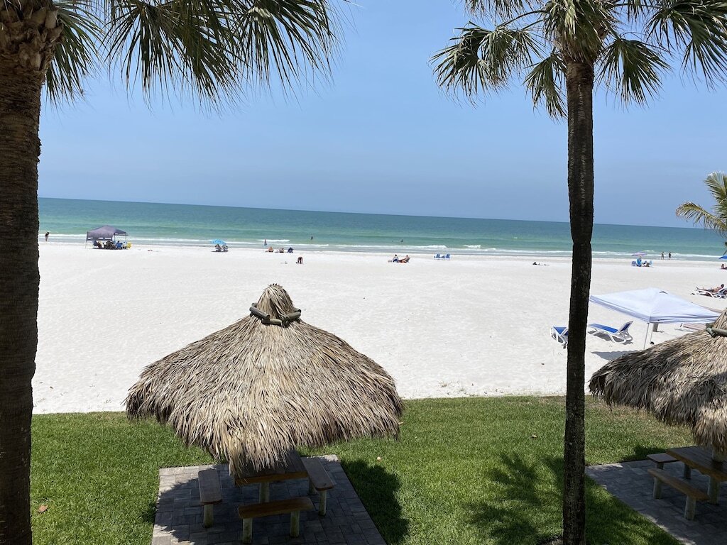 Sea Oats - Lauren Cove photo