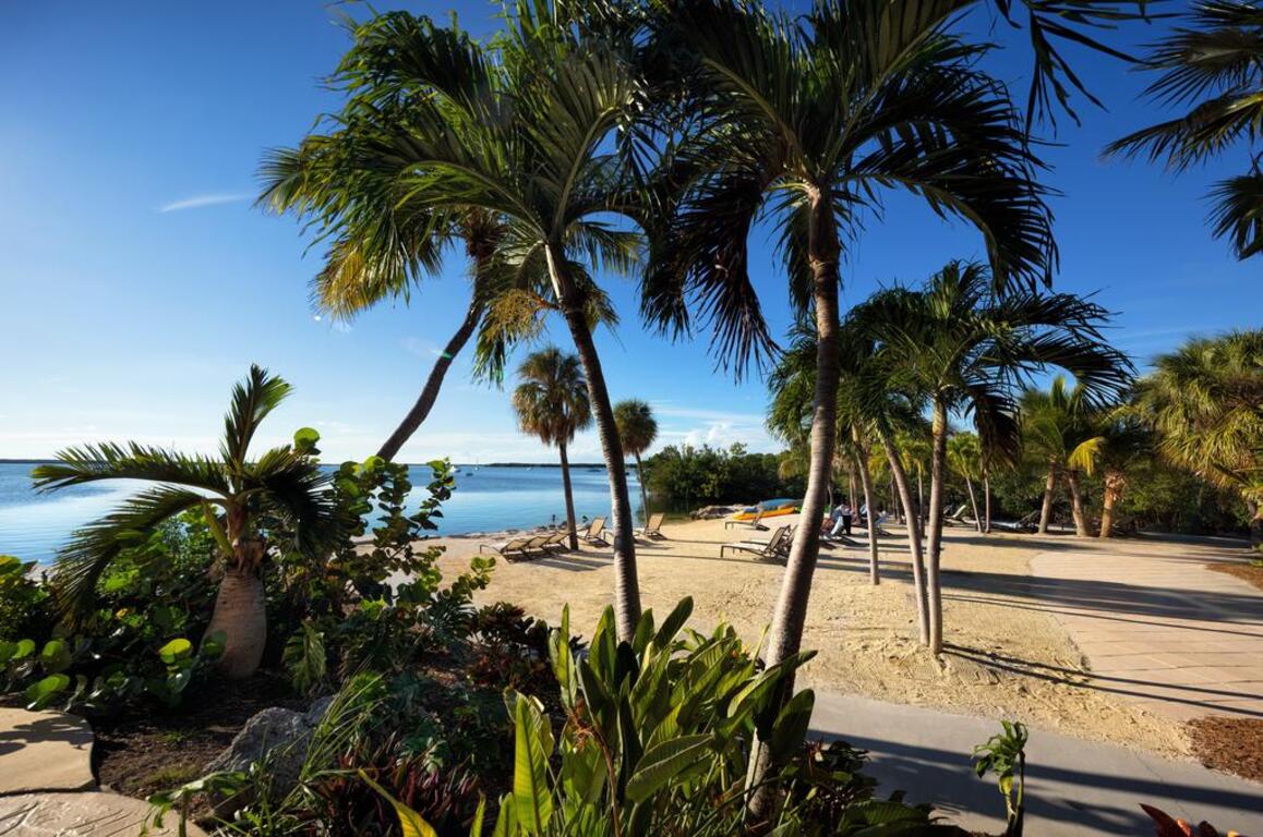 Hampton Inn Key Largo photo