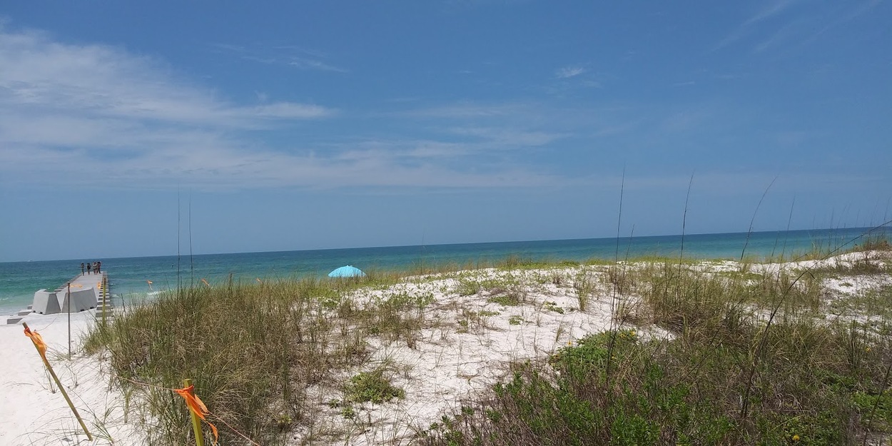 Grass on the beach