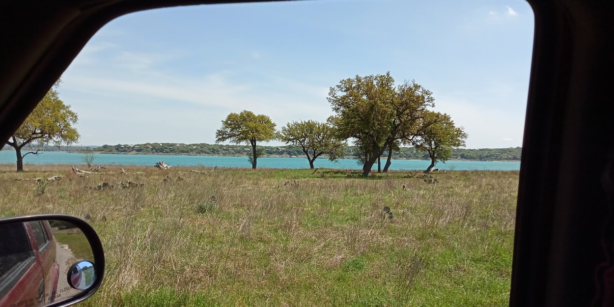 Trees
