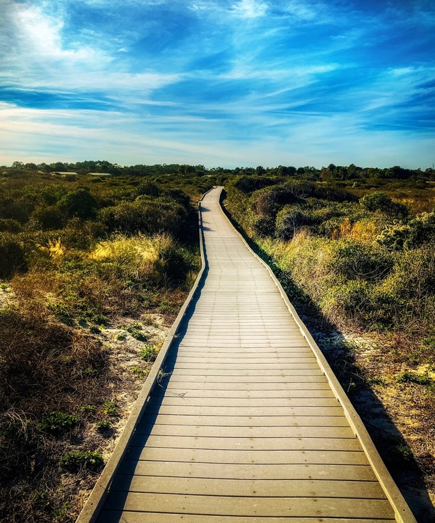 Wooden boardwalk leading to the beach