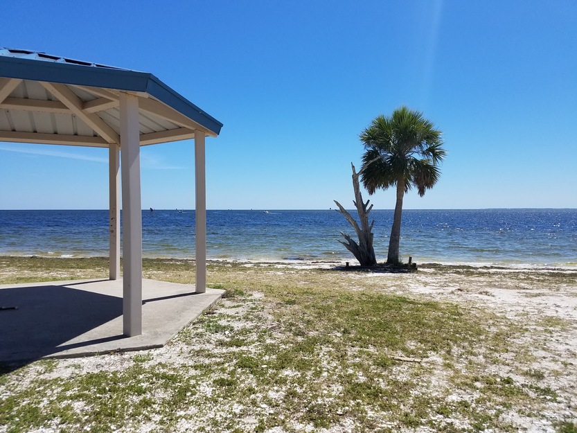 Palm and beach pavilion on Shell Point Beach