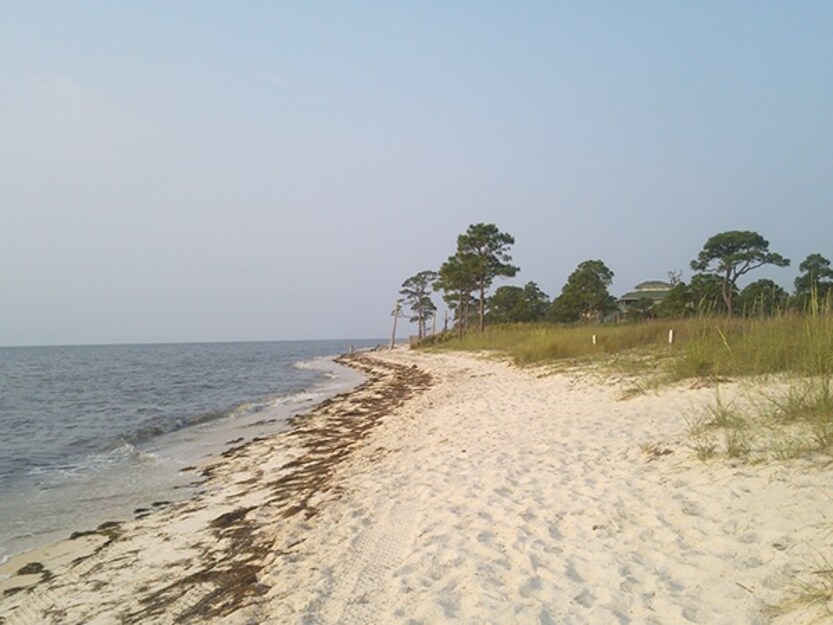 Bald Point State Park Beach, FL