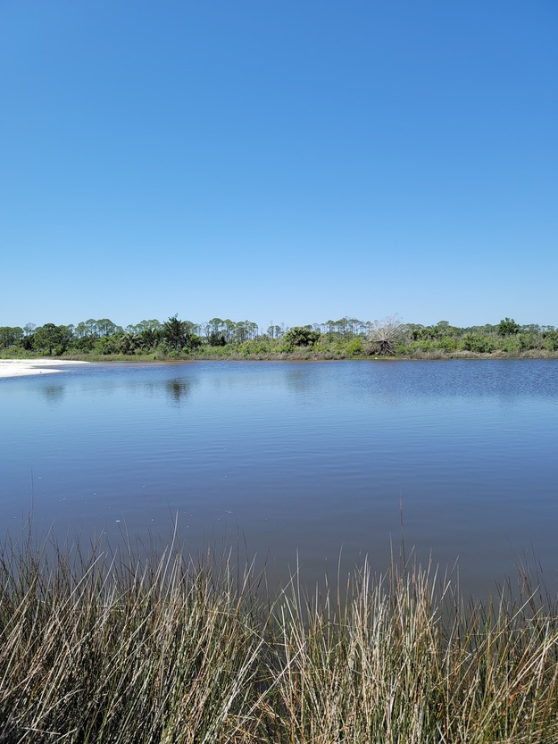 Bald Point State Park