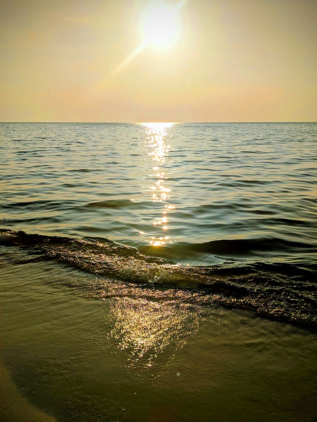 Bald Point State Park Beach