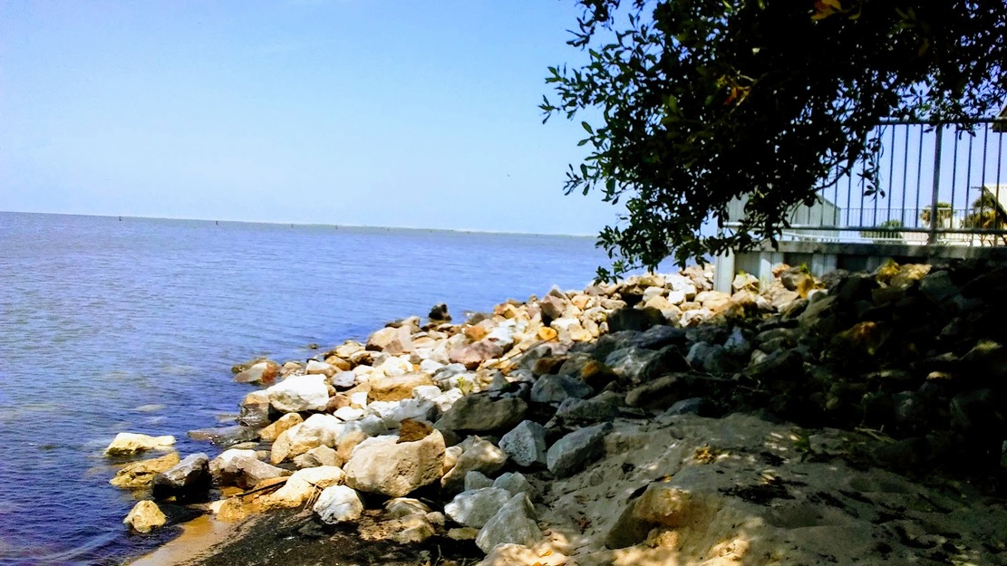 Rocky shore