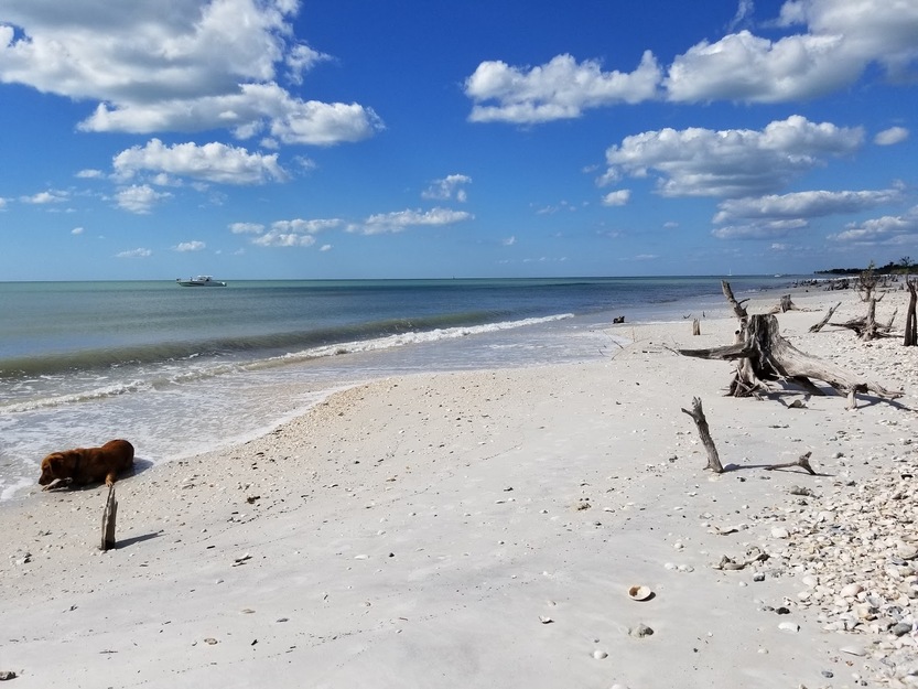Keewaydin Island Beach FL