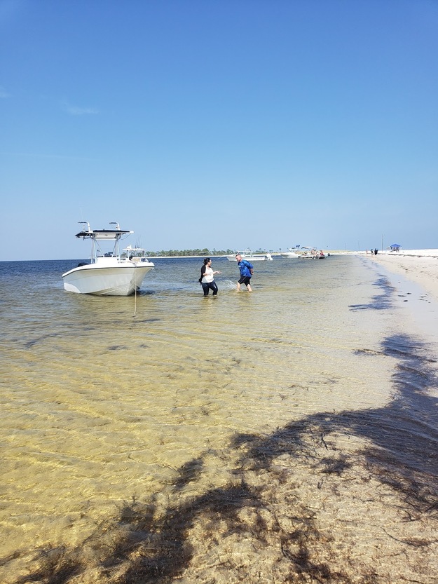 Dog Island Beach
