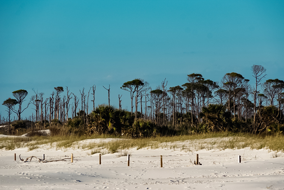 T.H. Stone Memorial St. Joseph Peninsula State Park Florida