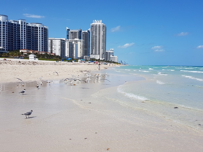City beach