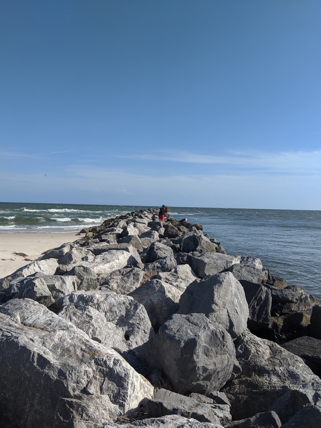 Rocks on Cape St George Island State Reserve Beach FL