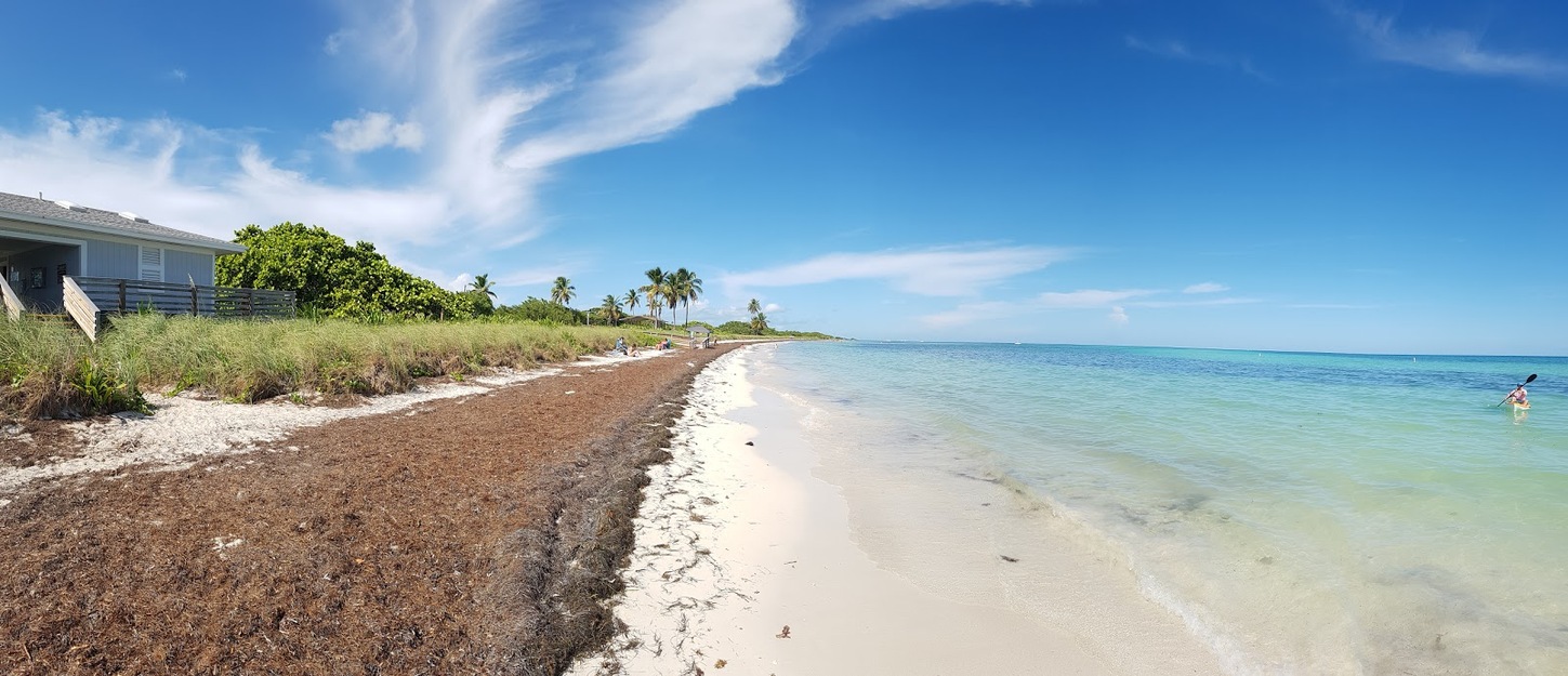 Sandspur Beach