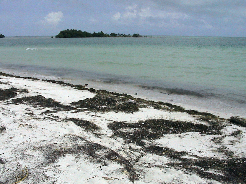 Seashore and island