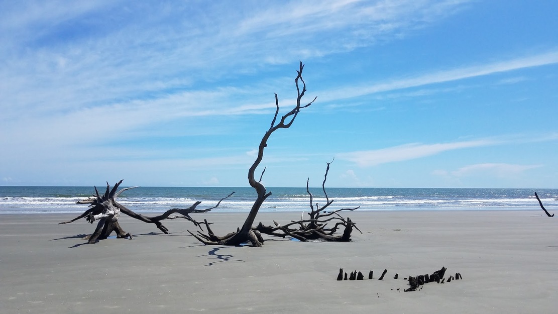 Boneyard Beach Bulls Island