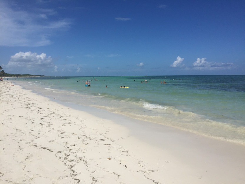 Sandspur Beach