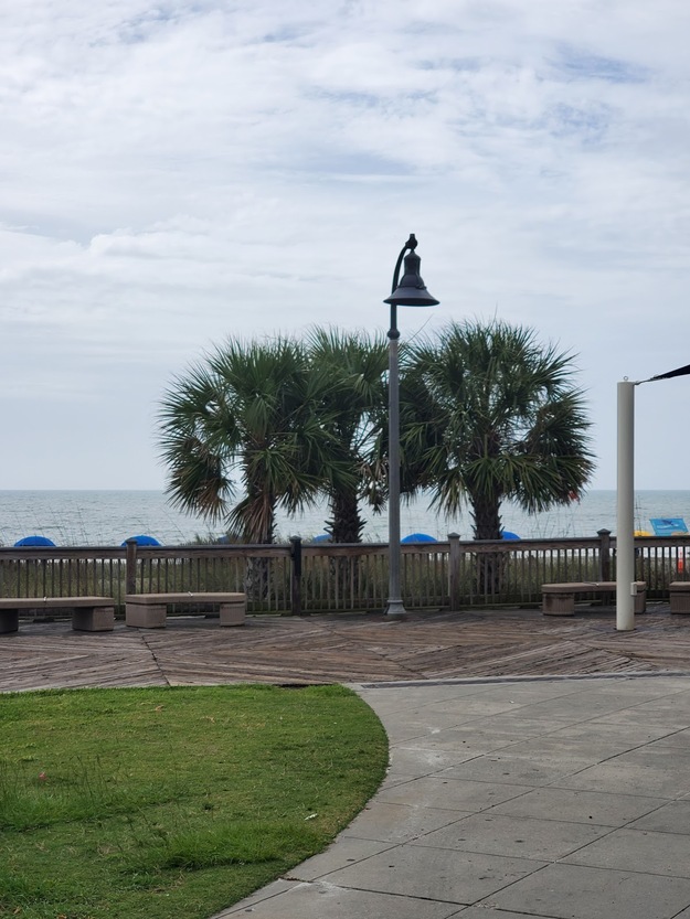 Palms in Plyler Park SC