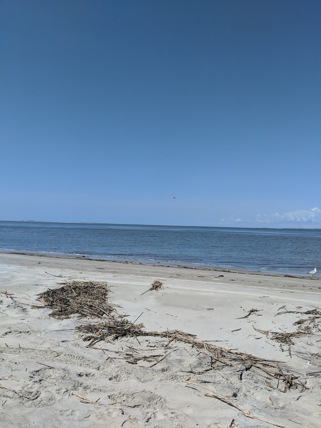 Seabrook Island Beach SC