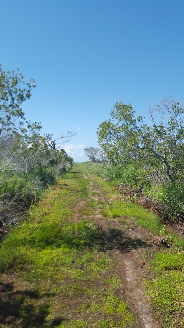 Cape Romain National Wildlife Refuge
