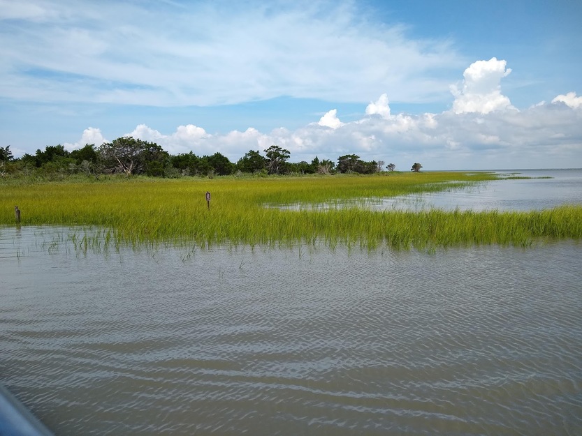 Cape Romain National Wildlife Refuge SC