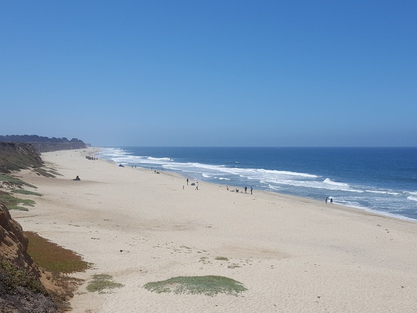 Venice Beach in Half Moon Bay
