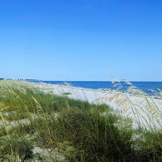 Alligator Point Beach, Florida