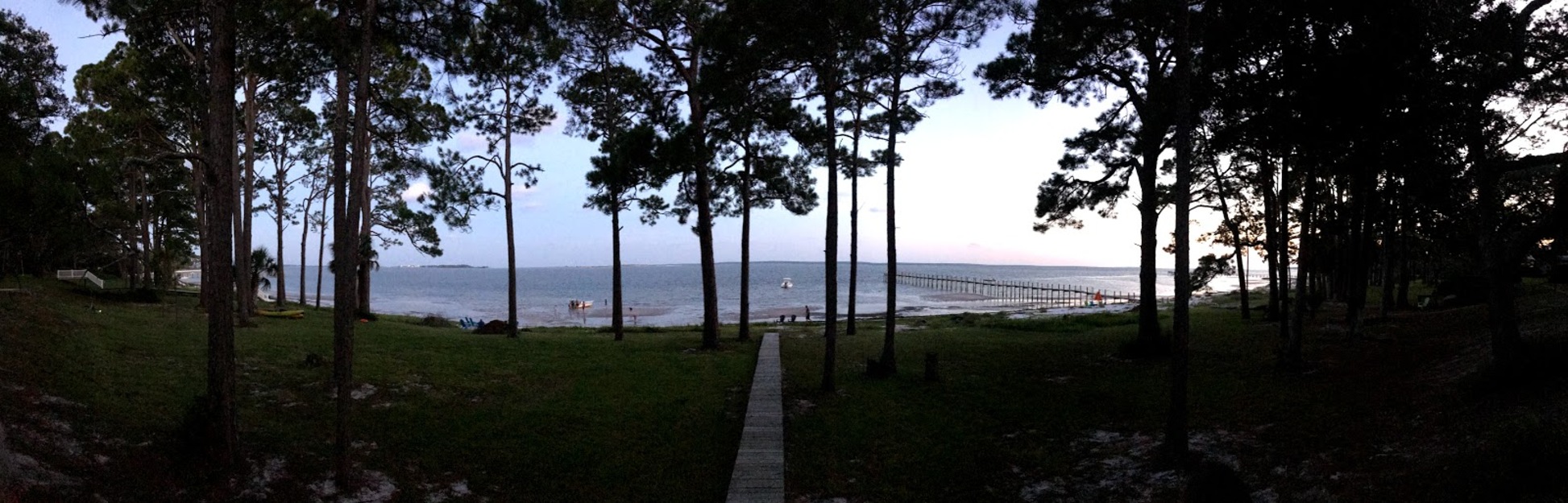 Trees on Wilson Beach, FL