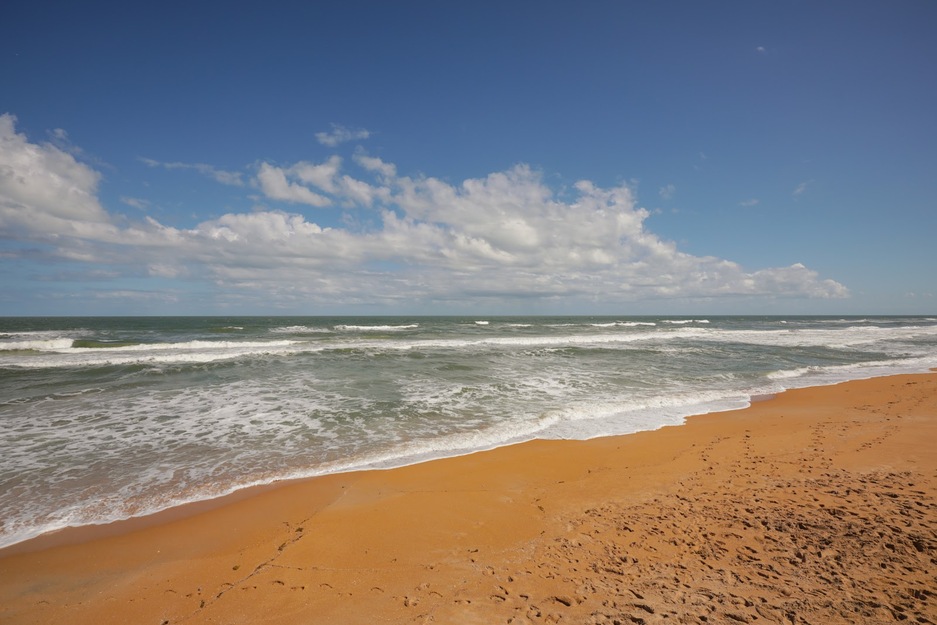 North Peninsula State Park Beach, FL